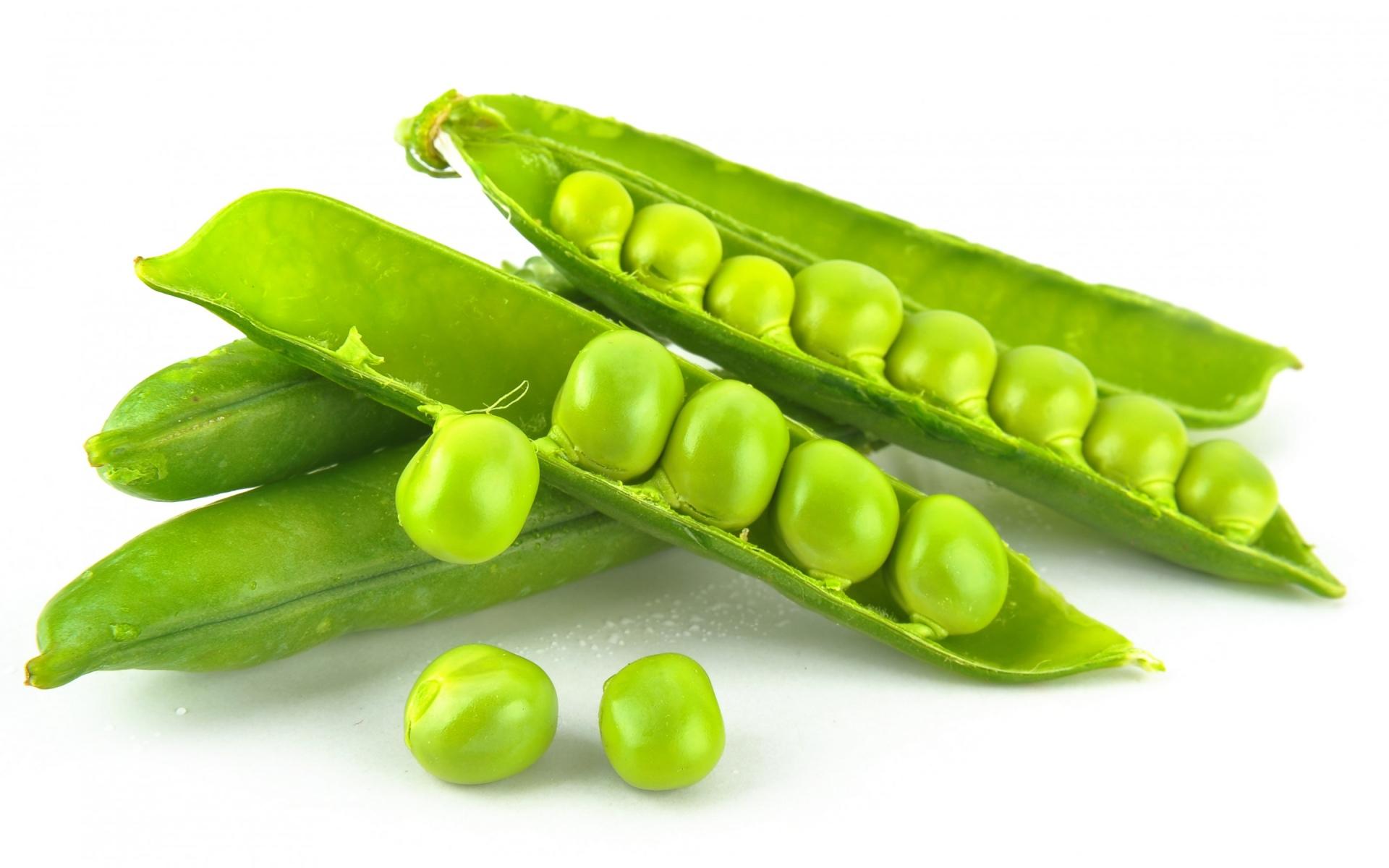 Pea wallpapers HD quality