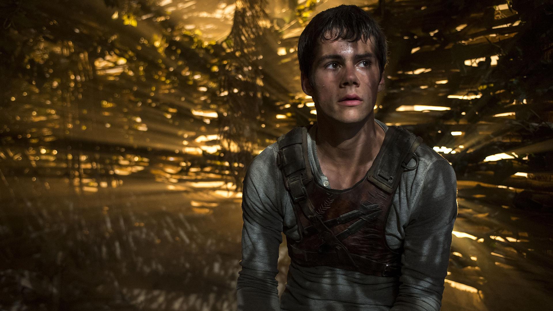 The Maze Runner at 1152 x 864 size wallpapers HD quality