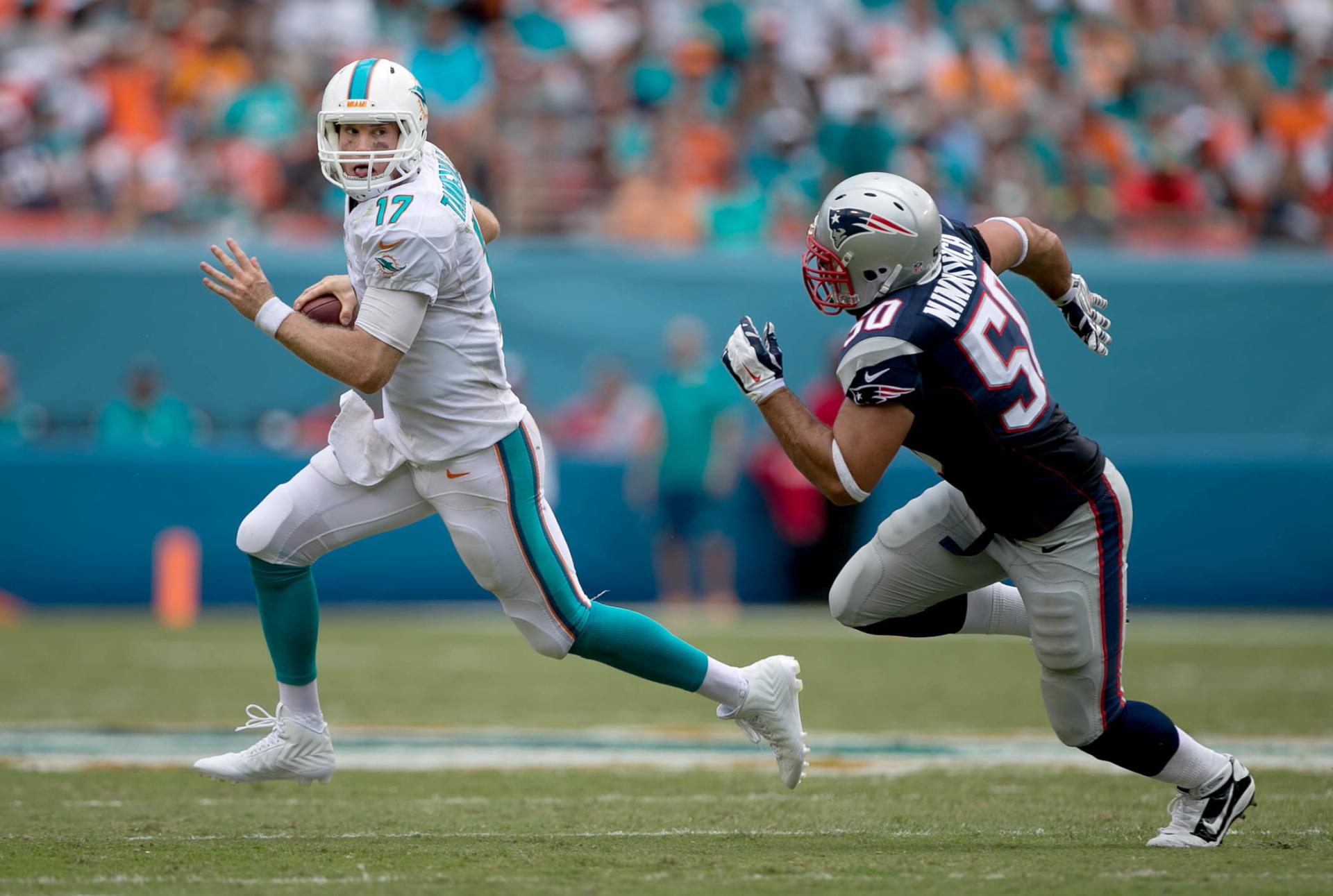 Miami Dolphins HD Wallpaper Full HD Pictures