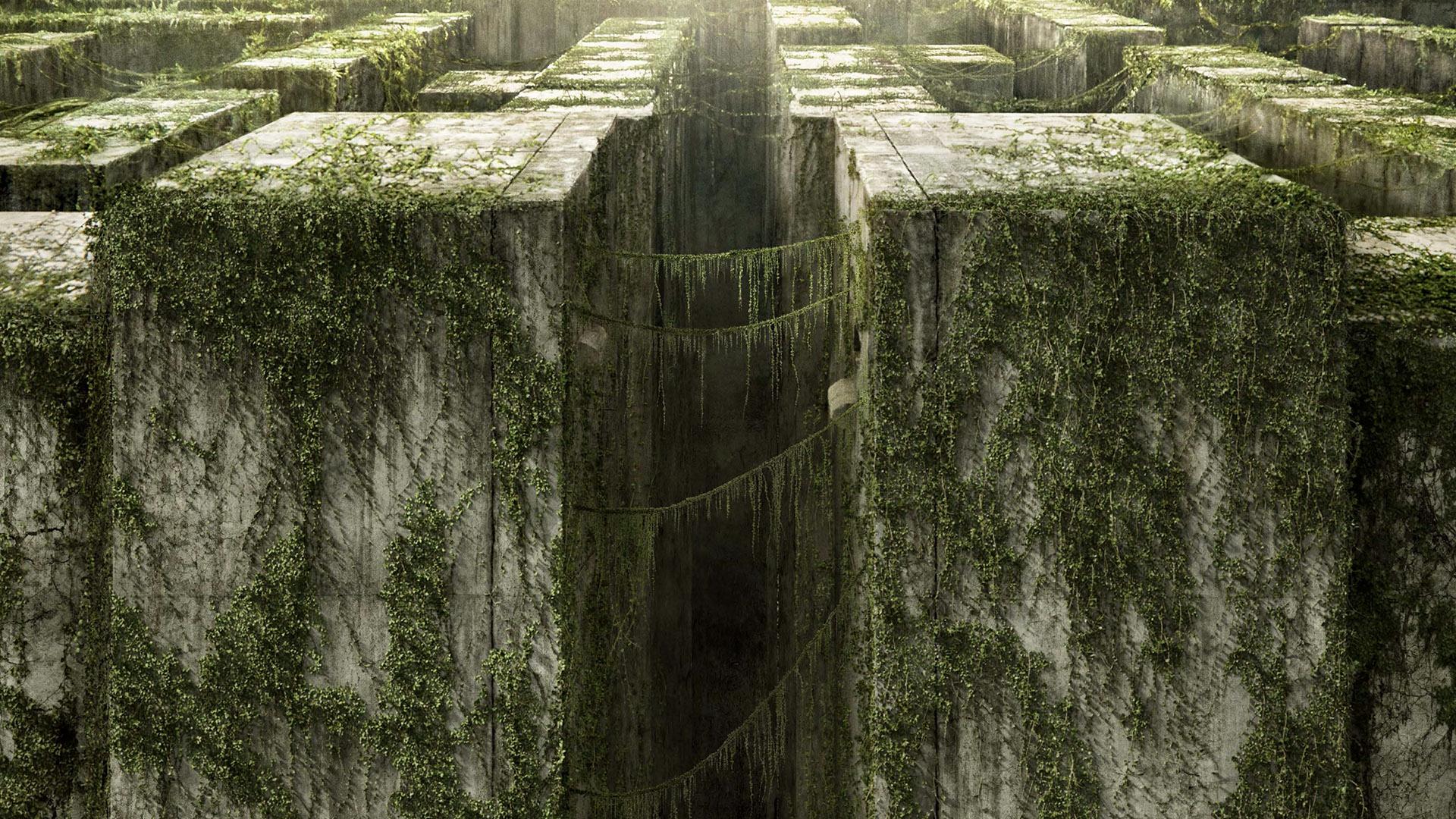 The Maze Runner Wallpaper HD Download