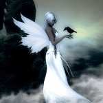 Angel Fantasy pic