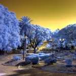 Infrared Photography wallpapers for android