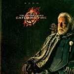 The Hunger Games Catching Fire download wallpaper