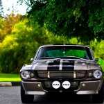 Ford Mustang GT500 PC wallpapers