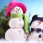 Snowman Photography PC wallpapers
