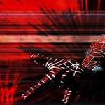 Spider-Man hd pics