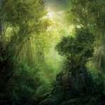Forest Fantasy high definition wallpapers