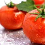Tomato download wallpaper