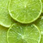 Lime free wallpapers