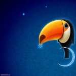 Toco Toucan free wallpapers