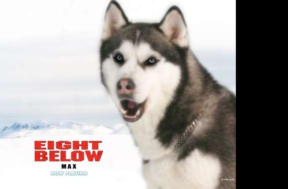 Eight Below wallpapers hd quality