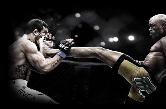 MMA wallpapers hd quality