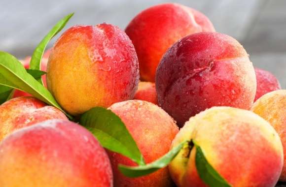 Nectarine wallpapers hd quality