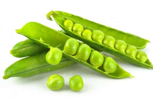 Pea wallpapers hd quality