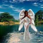 Angel Fantasy free download