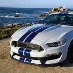 Ford Mustang Shelby hd wallpaper