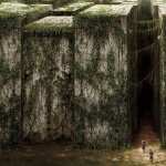 The Maze Runner free wallpapers