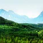 Tilt Shift wallpapers