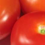 Tomato hd pics