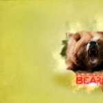Bear photos