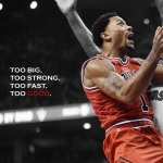 Chicago Bulls free wallpapers