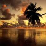 Tropical Photography wallpapers hd