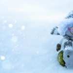 Snowman Photography pics