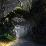 Forest Fantasy background