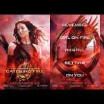 The Hunger Games Catching Fire hd wallpaper