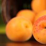 Apricot download wallpaper