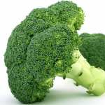 Broccoli hd pics