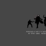 Ninja Funny image