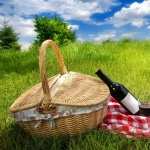 Picnic hd desktop