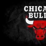 Chicago Bulls high definition photo