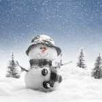 Snowman Photography images