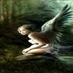 Angel Fantasy download