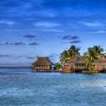 Tropical Photography full hd
