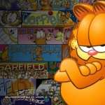 Garfield wallpapers hd
