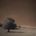 Infrared Photography new wallpapers