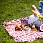 Picnic free