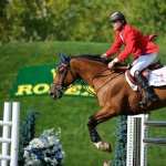 Show Jumping free