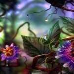 Passion Flower free wallpapers