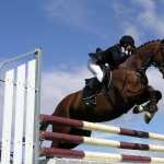 Show Jumping widescreen