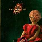 The Hunger Games Catching Fire hd