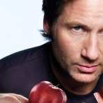 David Duchovny free wallpapers