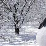 Snowman Photography hd photos