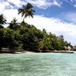 Tropical Photography free download