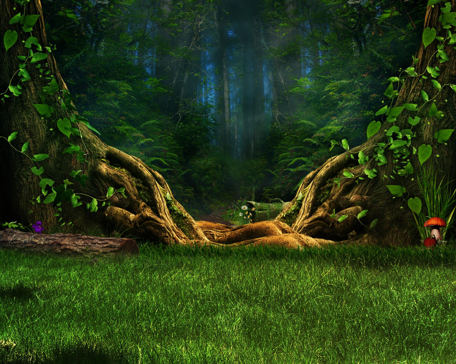 Forest Artistic Wallpaper HD Download
