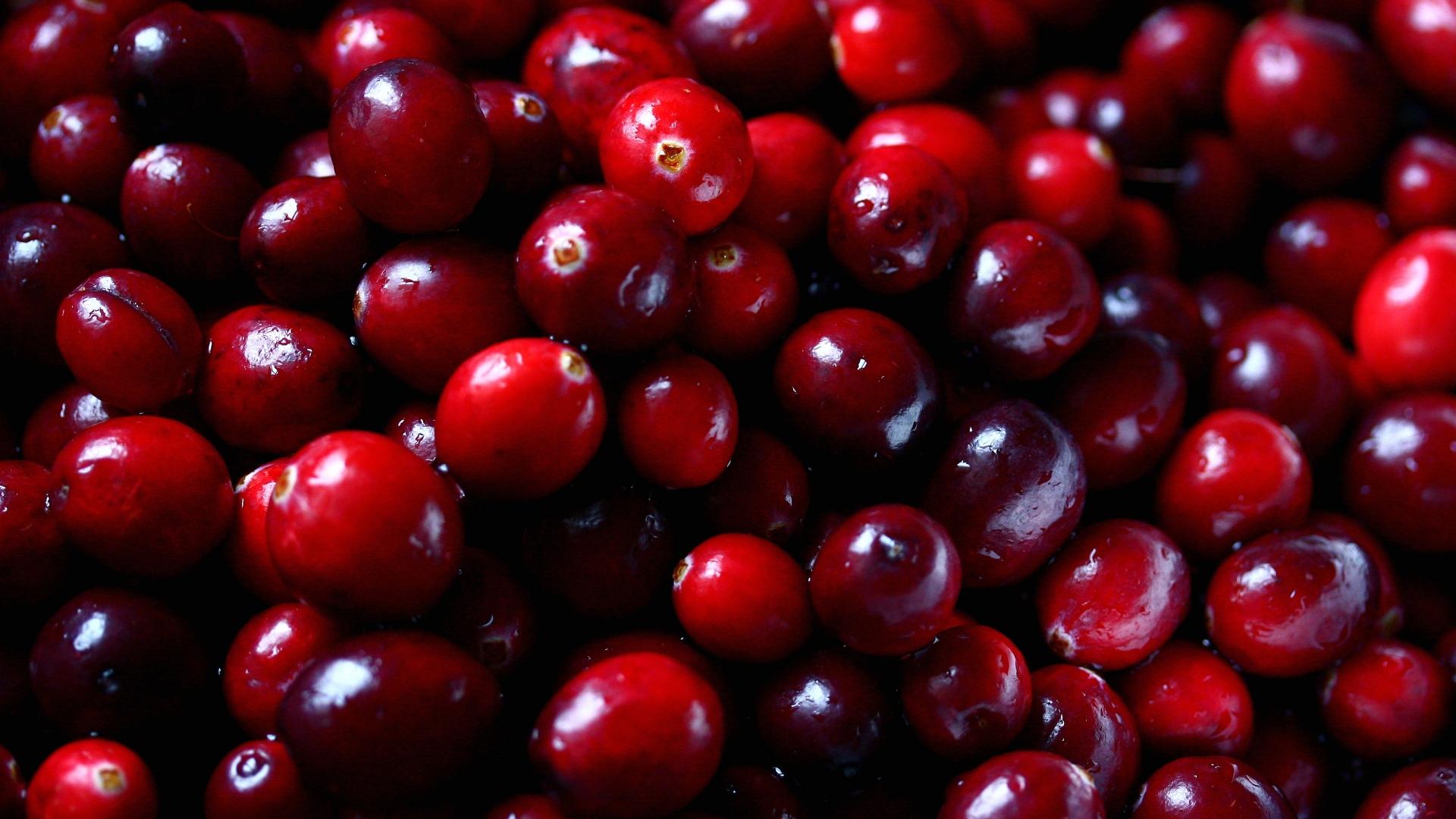 Cranberry at 1024 x 768 size wallpapers HD quality