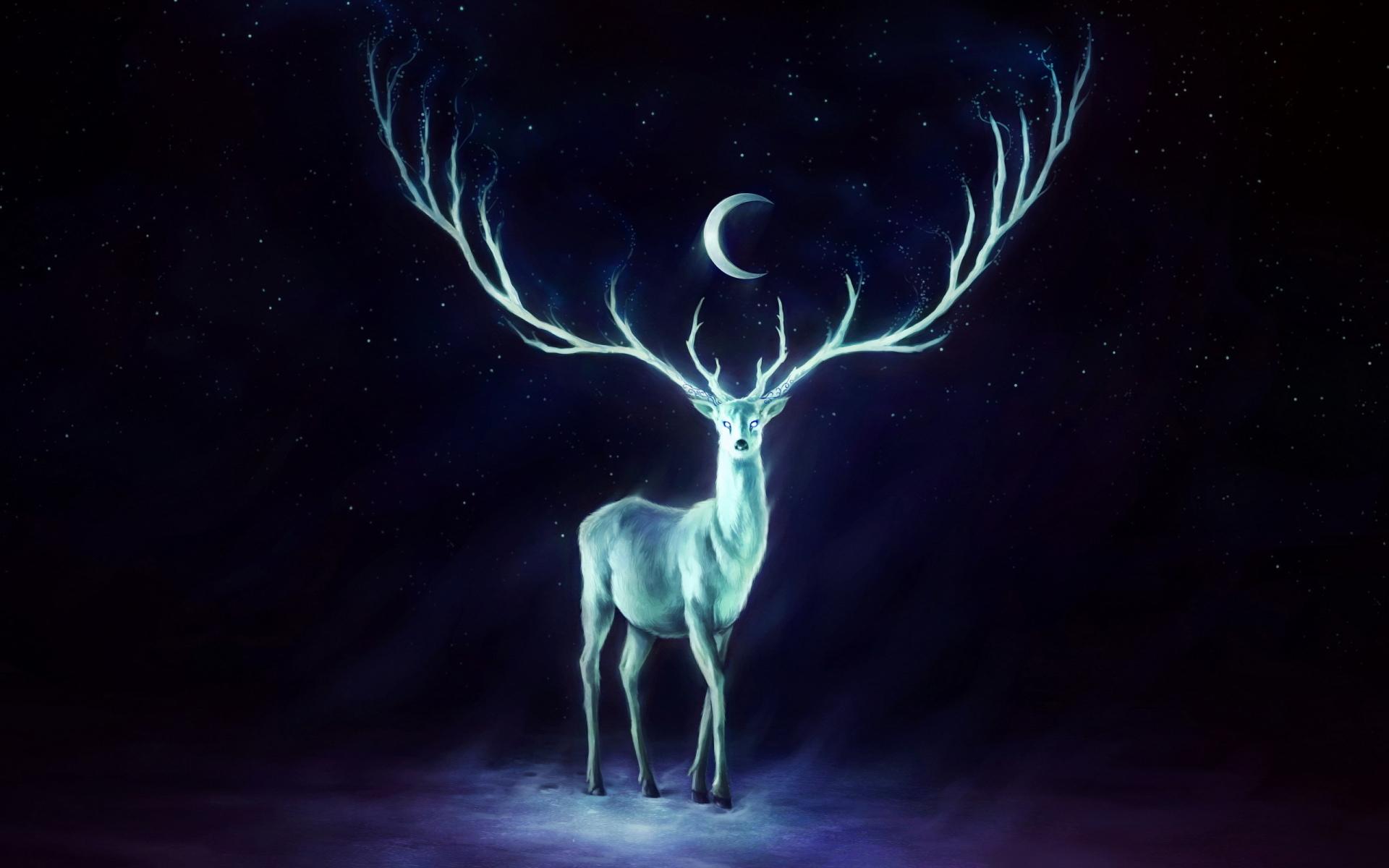 Deer Fantasy at 1024 x 1024 iPad size wallpapers HD quality